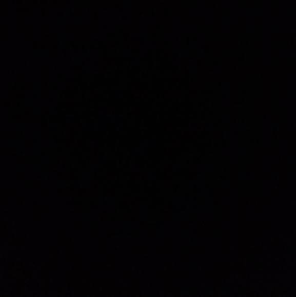 Meet your Posher, Megan - Picture 1 of 1